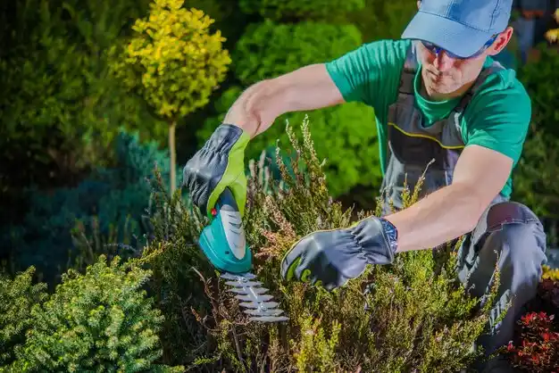 landscaping services Manistique